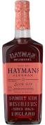 Gin Haymans Sloe 0,7l 26%