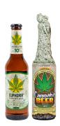 Pivo Euphoria Cannabis 0,33l  4,5%  