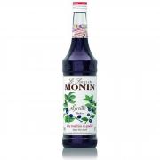 Monin Blueberry (borůvka) 0,7l