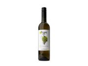 Hroznový mošt Chardonnay 2025 